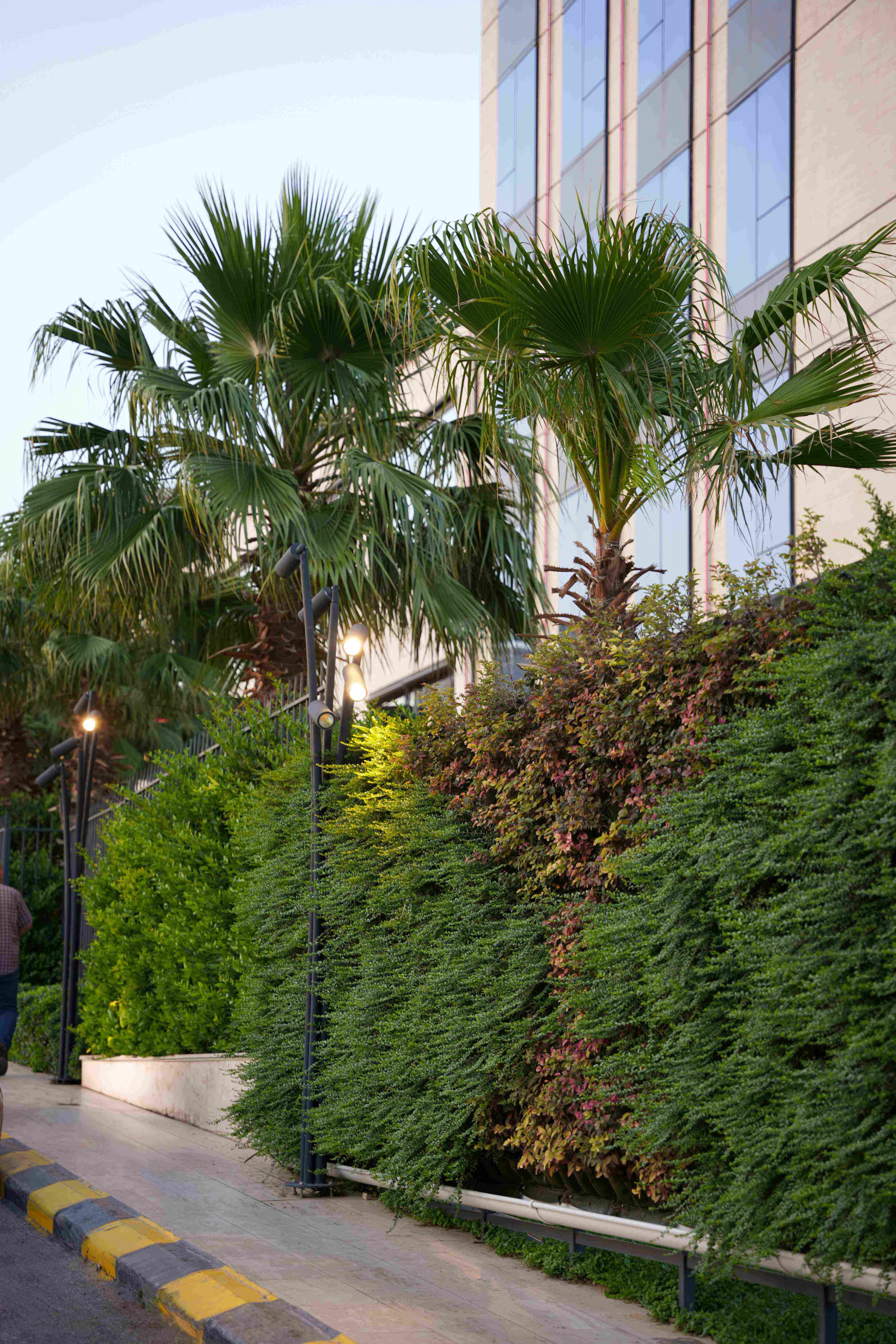 Greenery image