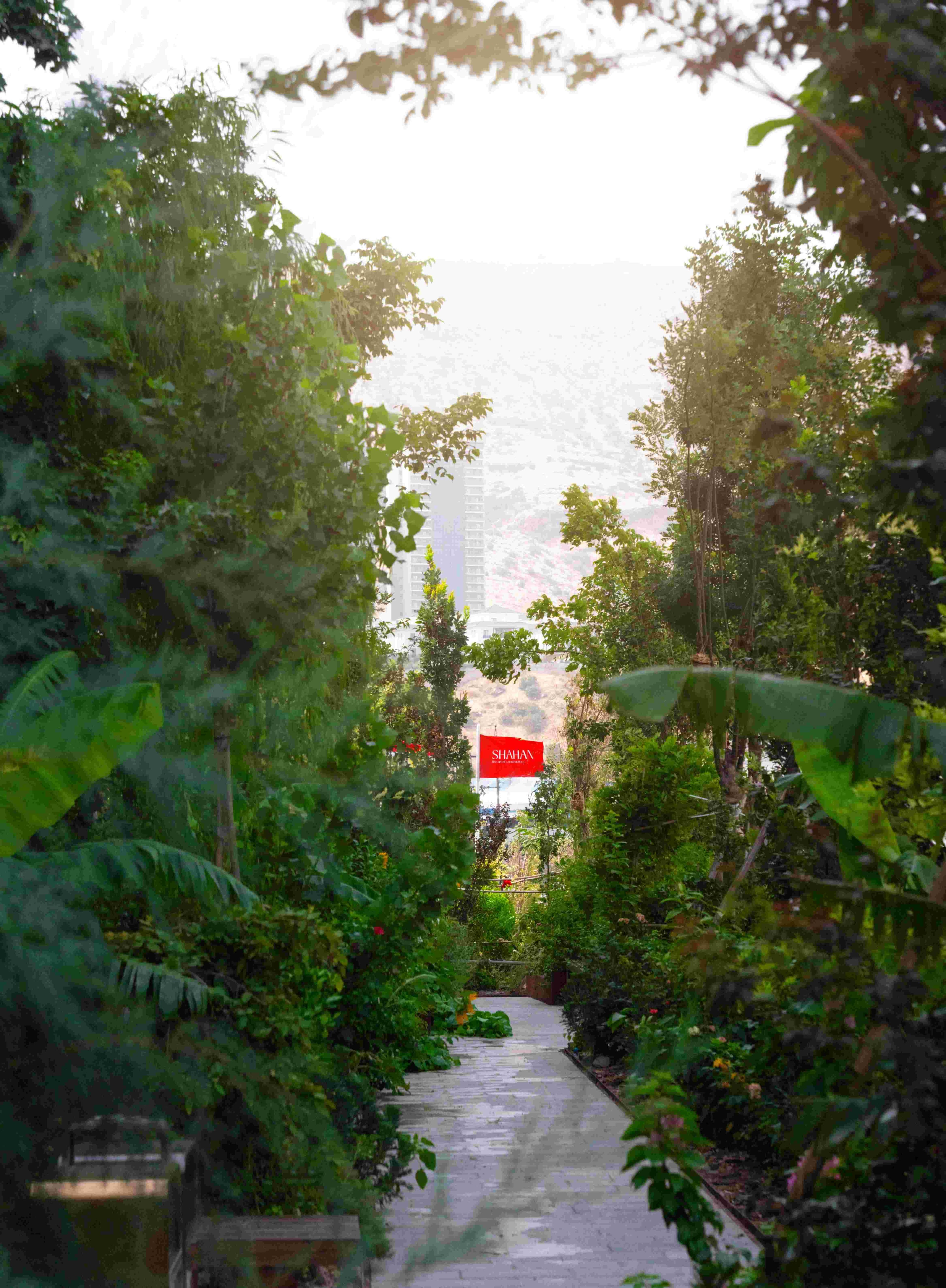 Greenery image